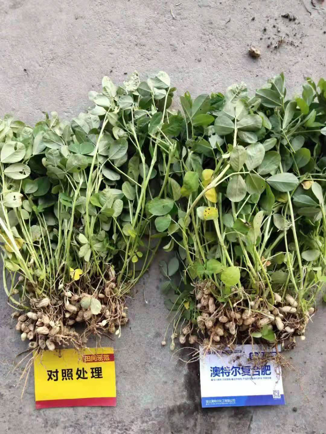 微信图片_202103111344412.jpg 微信图片_202103111344412.jpg