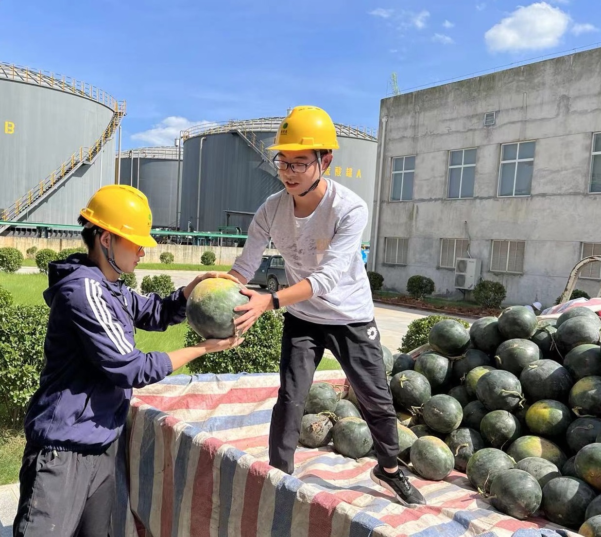 宜昌6686.com官网为职工准备西瓜.jpg
